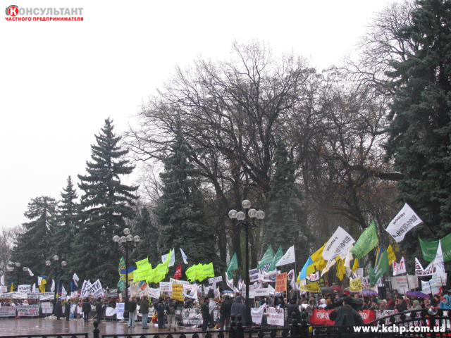 Akcii_protesta_fotootchet1_11_2010_006.jpg