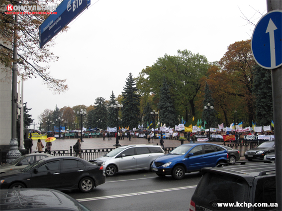 IMG_1174.jpg