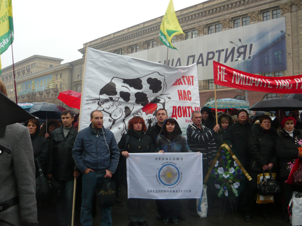 P1010139.jpg